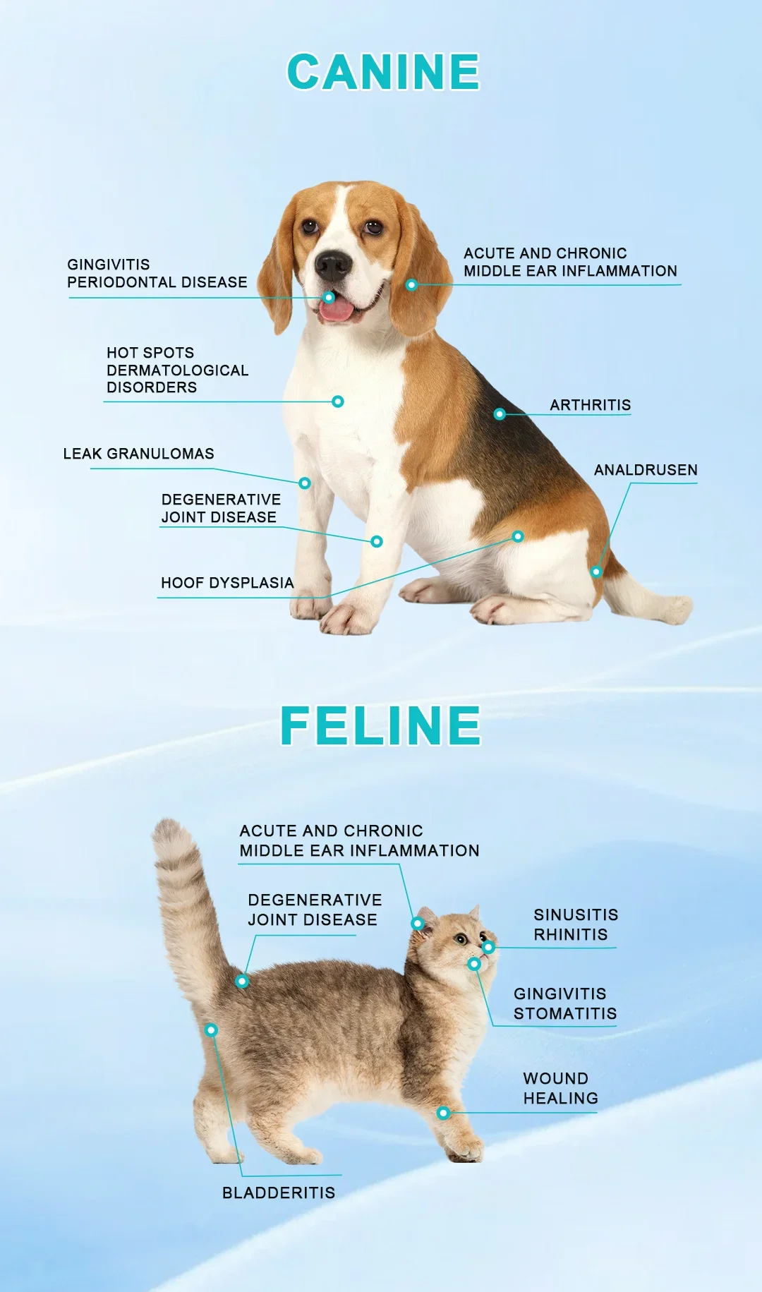 Ручной бестселлер Handhold Cold las er Устройство для терапии красным светом Портативный