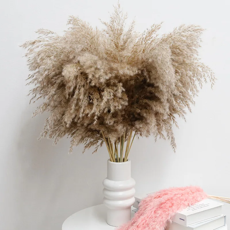 

5pcs Pampas Grass Country Wedding Dried Flower Bouquet Dry Flowers for Decoration and Table Accessories Home Decor Plants