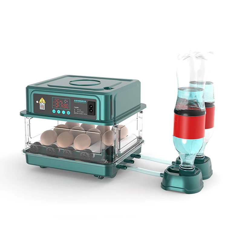 

Автоматический инкубатор machain для яйцо перепела уток, автоматический, для домашней птицы, 110 В, 220 В переменного тока, 12 В постоянного тока