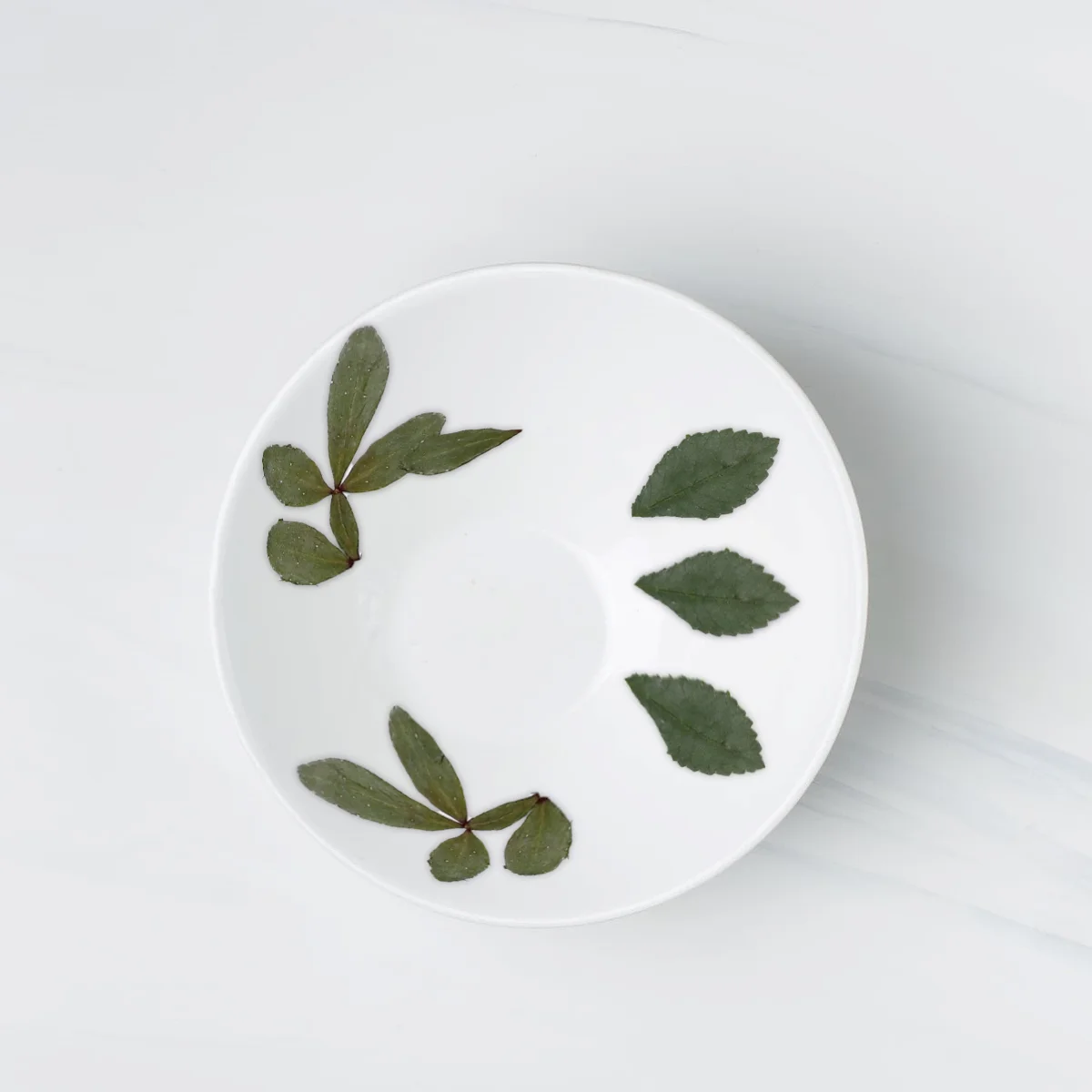 

Flowers for Resin Dried Leaves Dried Leaves Pressed Flowers for Resin Resin Embellishments