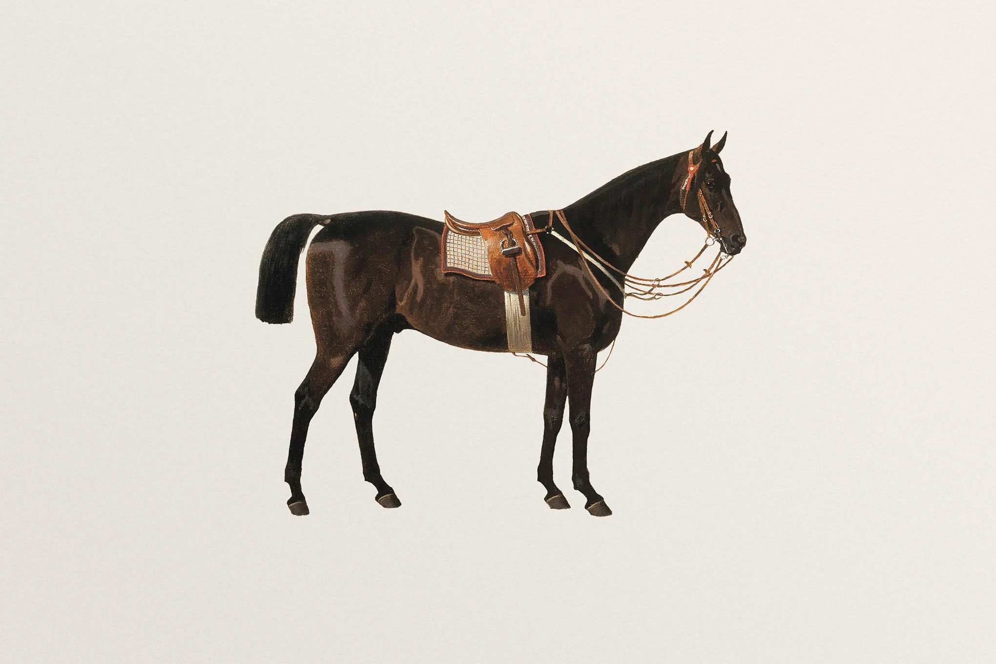 

Печать на холсте "Конная лошадь"