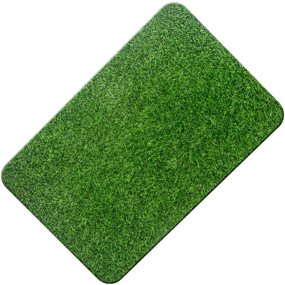 

Scraper Outdoor Grass Mat Welcome Mats Front Fake Turf Floor Green Lawn Rug Doormat Pet