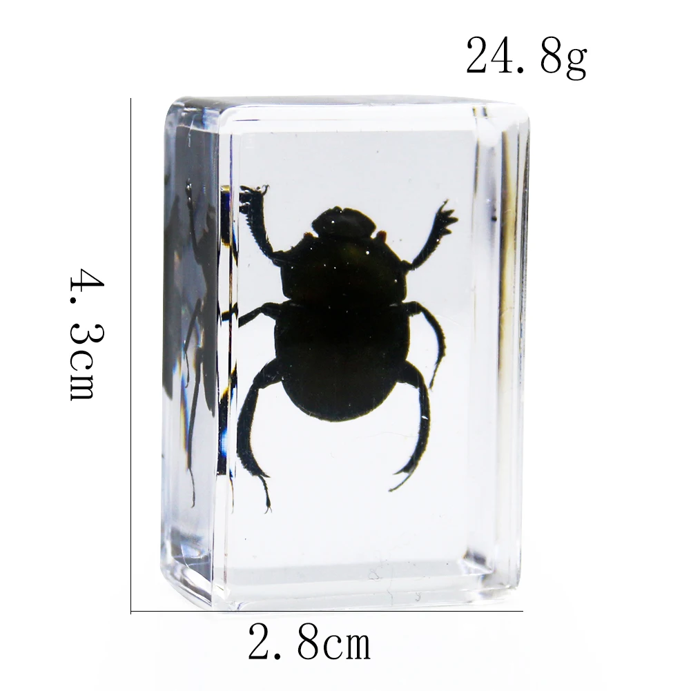 Эпоксидная смола образцы искусственных насекомых цикады Скорпион кузнечик