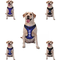 zeta phi beta puppy leash vest adjustable for walking small medium and large dogs