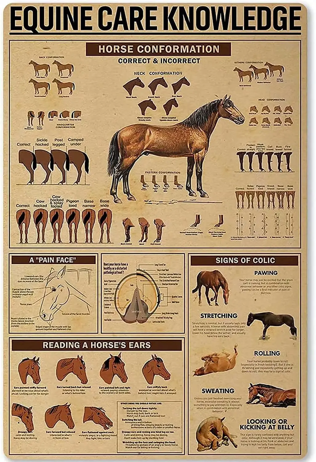 Знания о балансе Equine металлический жестяной знак конский декор домашний салон