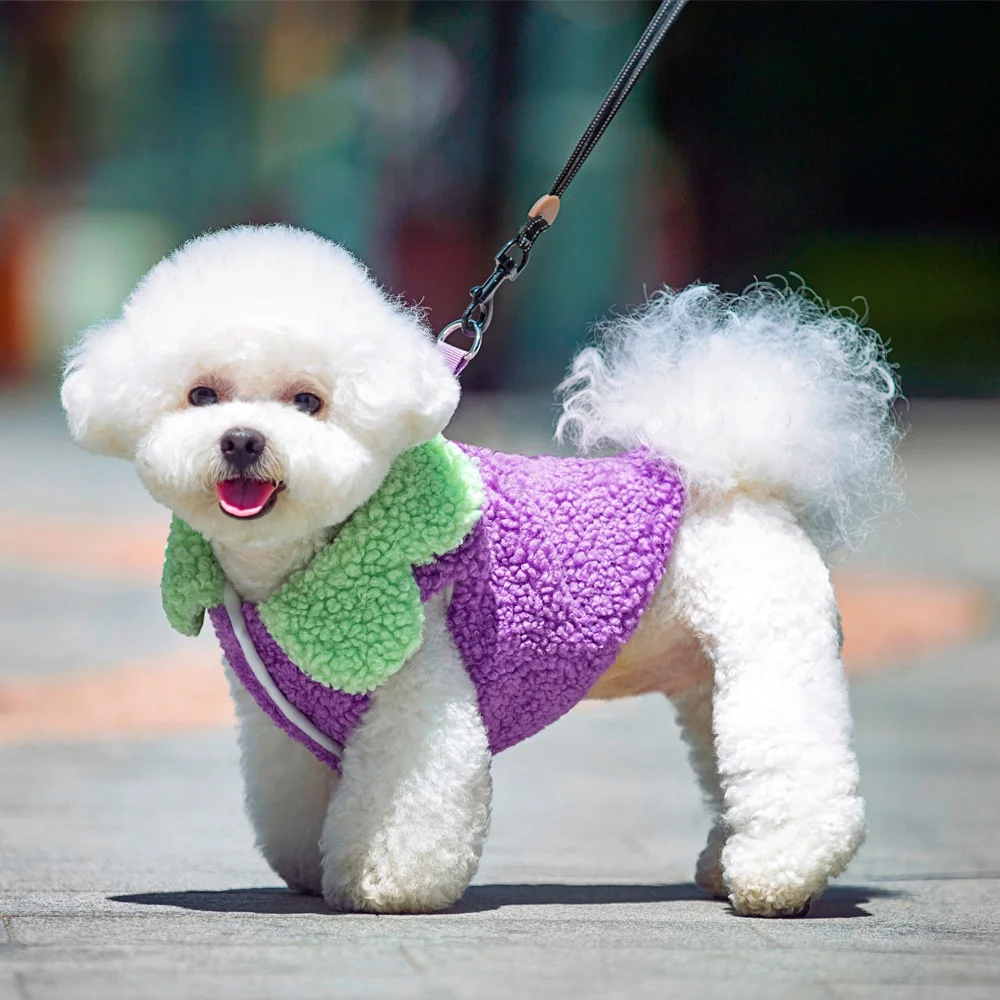 

New Lotus Leaf Lace Pet Clothes Warm Carrot Eggplant Shape Design Jacket For Small Dog Autumn Winter Pet Clothes Supplies 2022