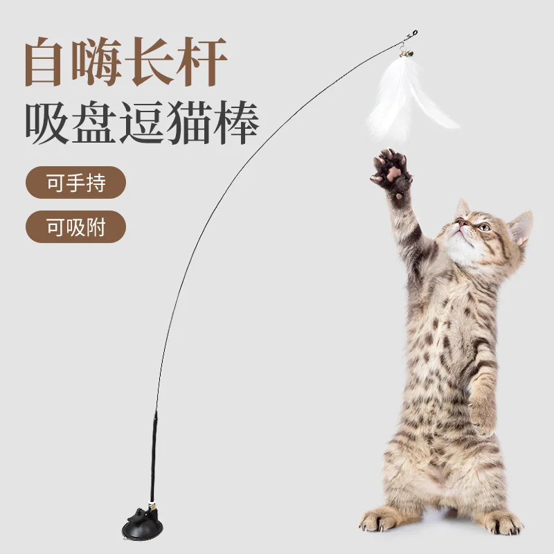 

Animal Supplies Cats Accesories Toys for Cat Pets Products Pet Accessories Kittens Toy Kitty Items Articles Things Kitten Goods
