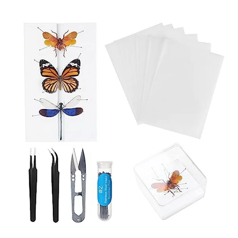 

Набор инструментов для изготовления образцов насекомых, шпильки для насекомых, доска для насекомых, бумага для прессования крыльев, пинцет, ножницы, дисплей