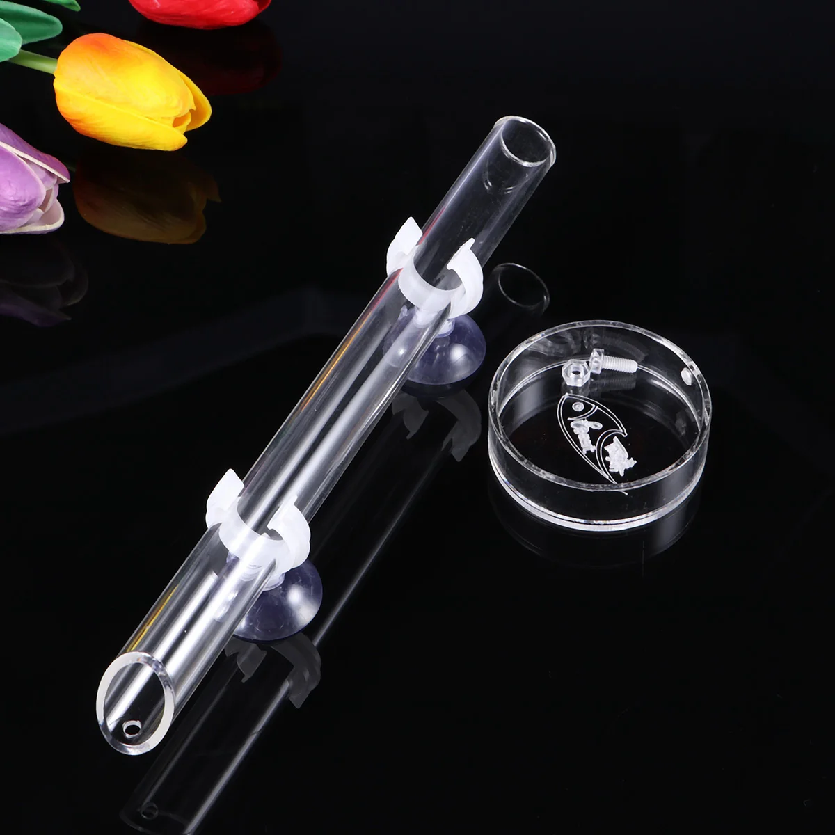 

Tub Tray Bathtub Automatic Fish Feeder Aquarium Shrimp Feeding Glass Tubes Dish