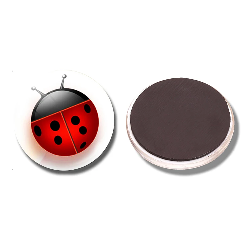 

Магнит Божья коровка 30 мм EQJJYPOC