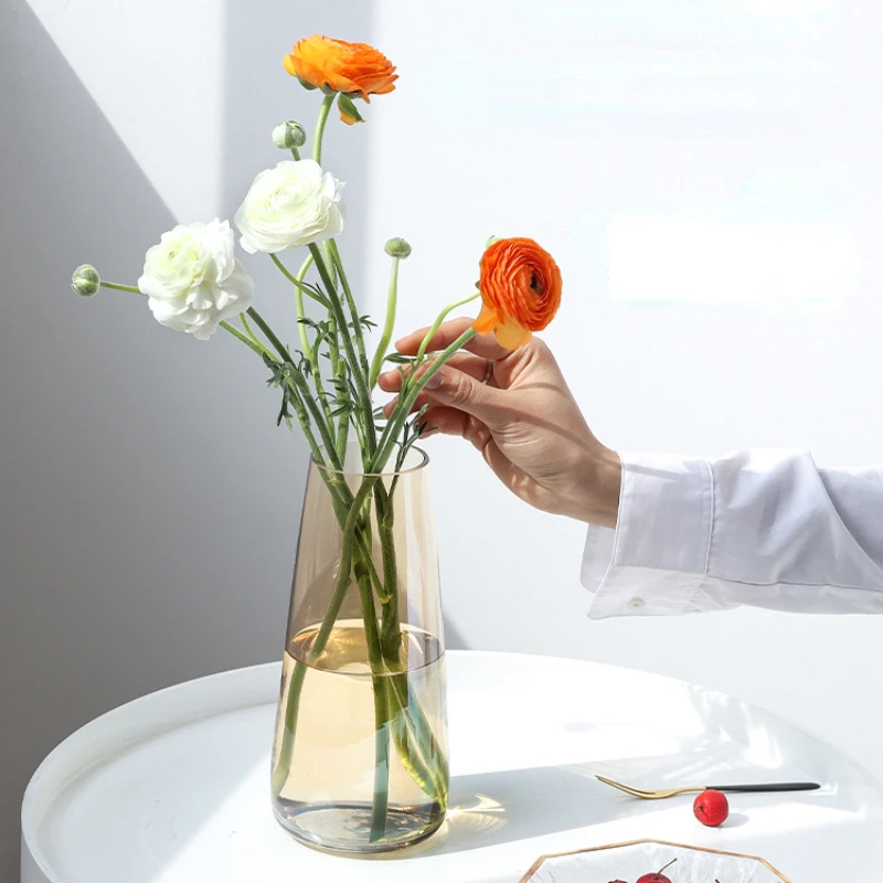 

Ins Style Living Room Transparent Glass Flower Vase Decoration Luxury High-end Water Raising Small Colorful Vase Home Decoration