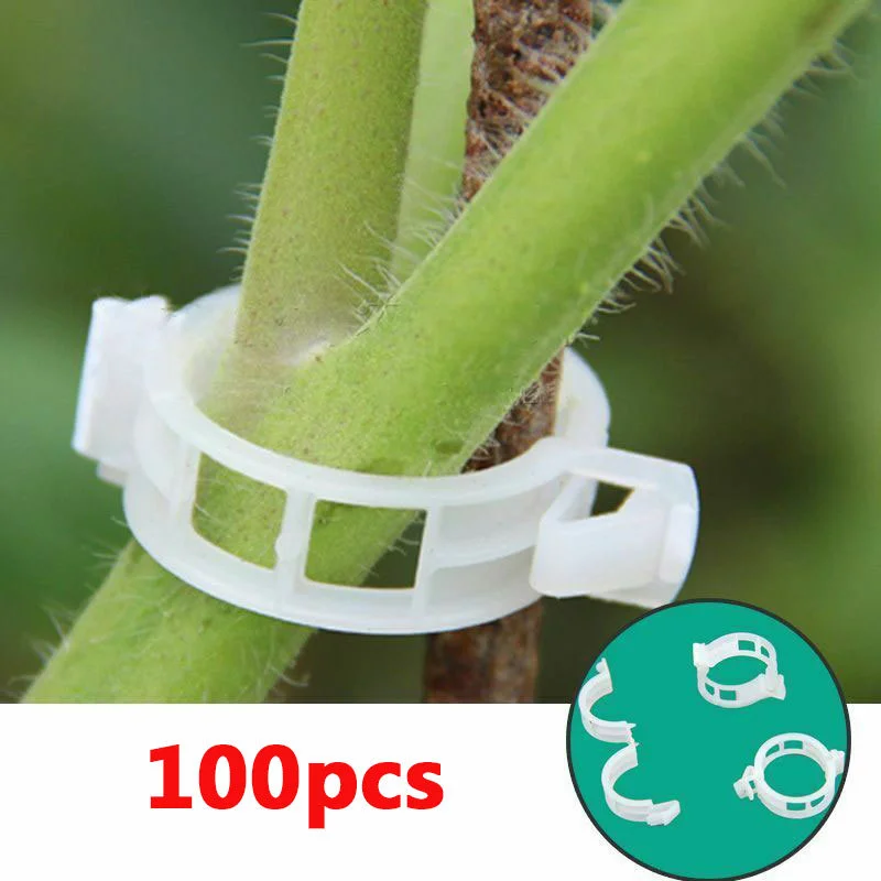 

Plant Support Clips for Garden Tomato Vegetable Vines Upright and Make Plants Twine Clips Vine, Beans, Vegetables, Fruits, Rose.