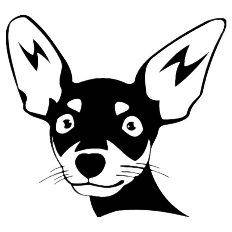 

Автомобильная наклейка Чихуахуа на борту, наклейки с животными, забавные виниловые наклейки, автомобильные Мотоциклетные аксессуары из ПВ...