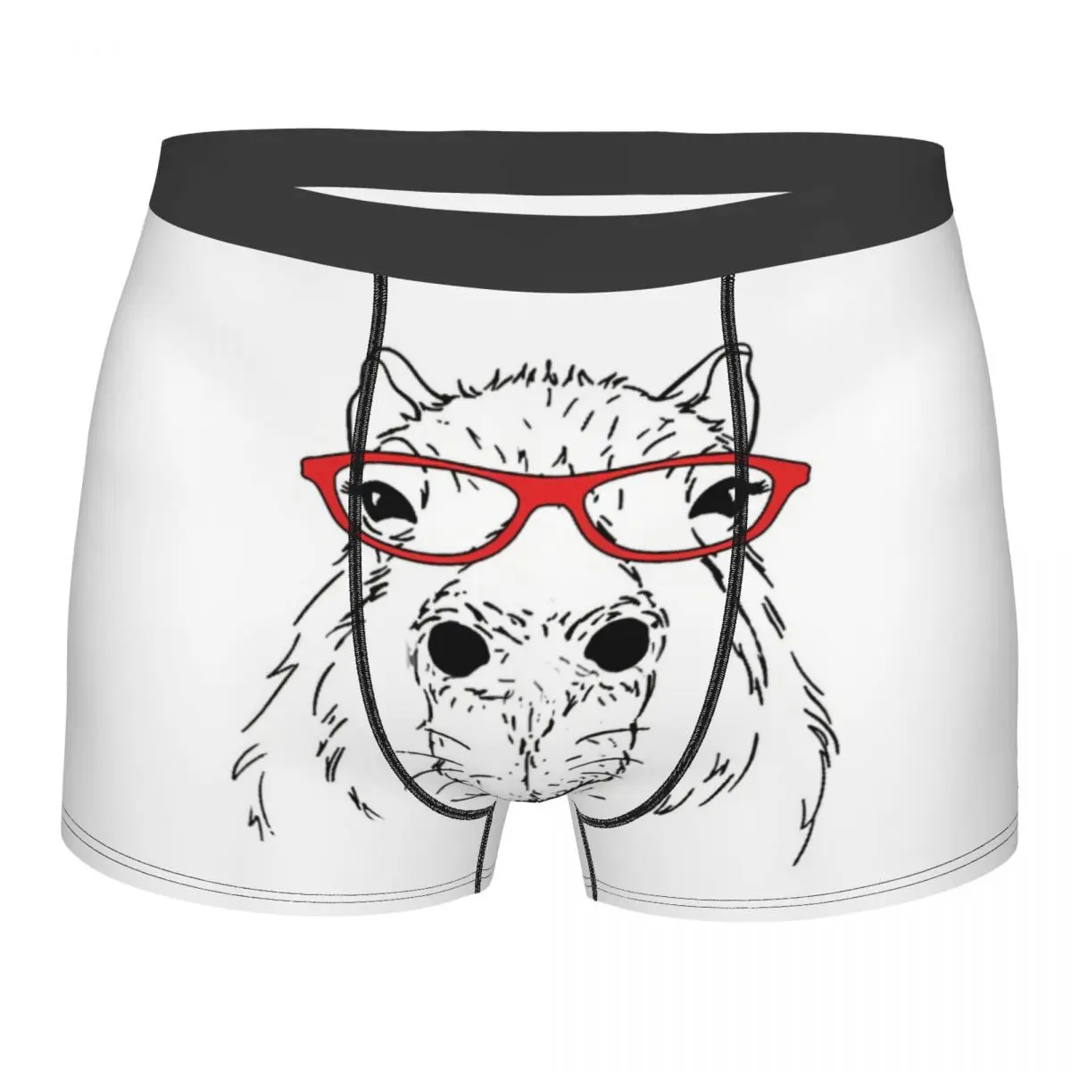 

Glasses Men Boxer Briefs Underwear Capybara Highly Breathable Top Quality Birthday Gifts