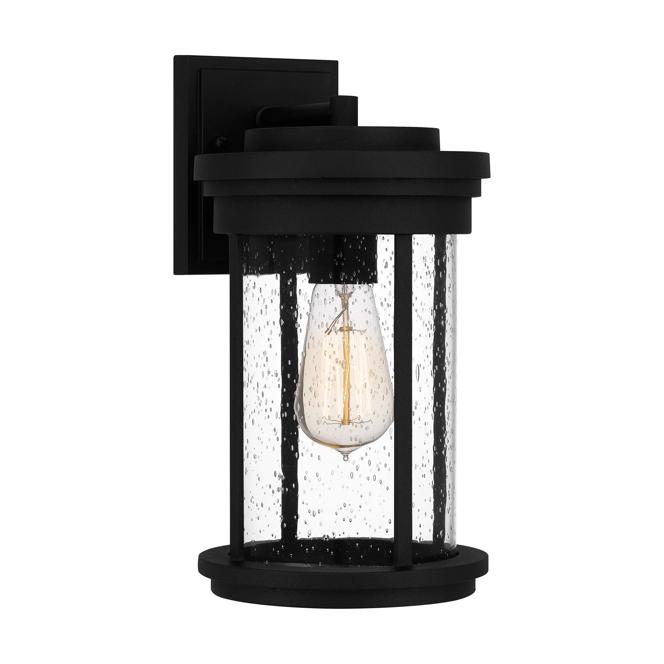 

1-Light Earth Black Outdoor Wall Lantern Free shipping