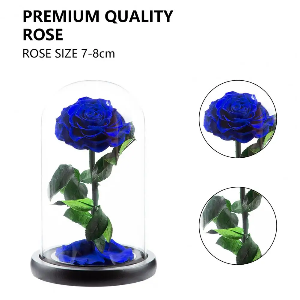 

Attractive Nice-looking Aesthetic Artificial Eternal Rose Flower in Glass Dome Gift Festival Supplies