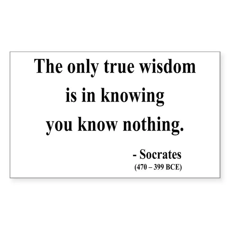 

3 прямоугольные наклейки Socrates, прямоугольник для ноутбука, автомобиля, милый мультяшный модный чемодан для общественных мест