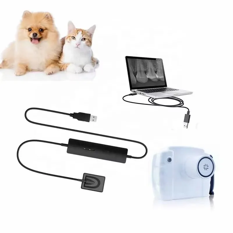 Повышение ! Медицинское Dent al Equipment Products De ntal Цифровой рентгеновский датчик rvg с