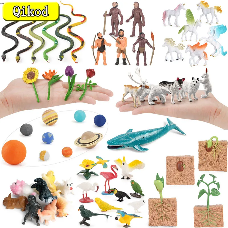 

New Simulation Animal Model Set Figurines Human Evolution Planet Plant PVC Action Toy Figure Kids Collection of Educational Toys
