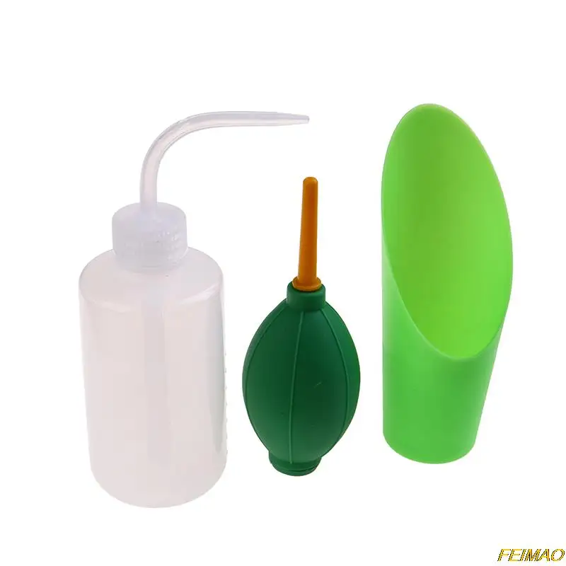 13 шт. миниатюрные растения для выращивания растений |