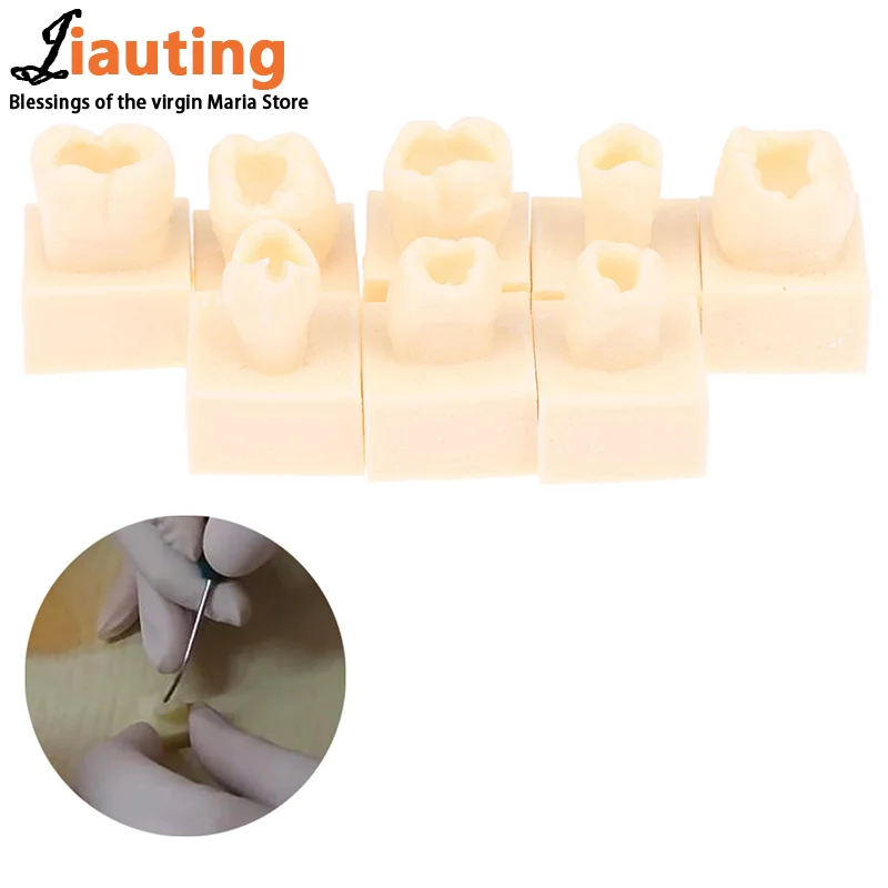 8 шт./компл. стоматологическая задняя студенческая тренировочная тестовая модель