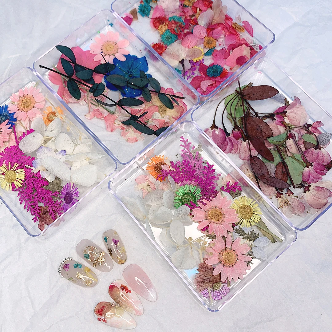 

Dried Flower Nail Art Mixed Shape with Bottle 3D Dry Floral Leaf Nail Japanese UV Gel Nails Manicure Tips Charming Decor Tips