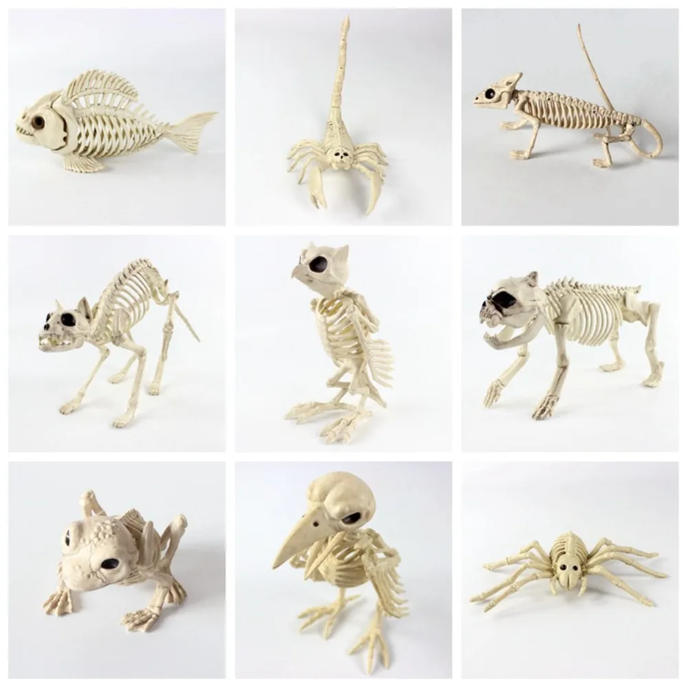 

Halloween horror skeleton animal skeleton bat spider scorpion mouse snake haunted house layout props toad skeleton