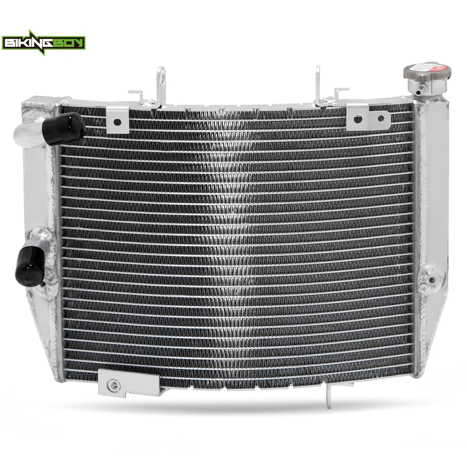 Система охлаждения двигателя BIKINGBOY для улицы модель T2103251 765 2017 2018 2019 2020 2021 660 17-21