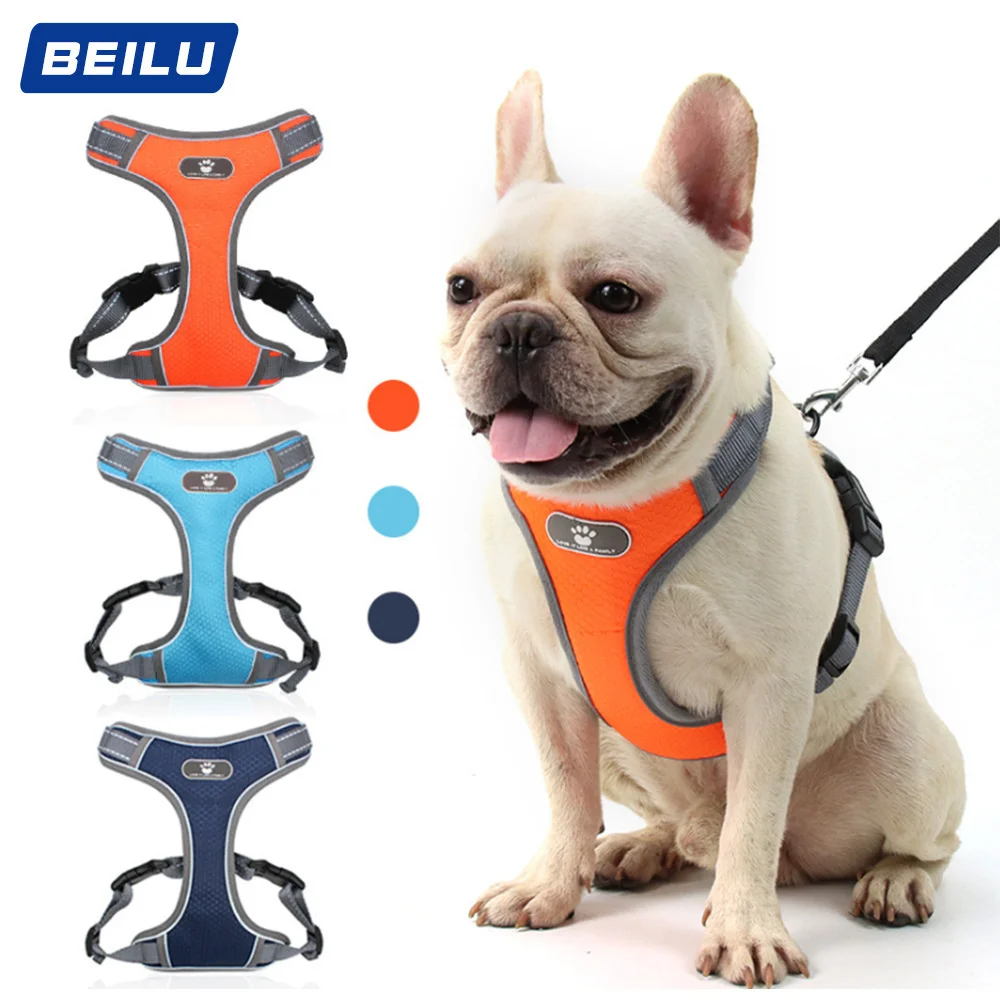 

Outdoor Large Pet Labrador Dog Collar Personalized Mesh Leash Set Breathable Dog Strap Adjustable Leash Dog Walking Supplies