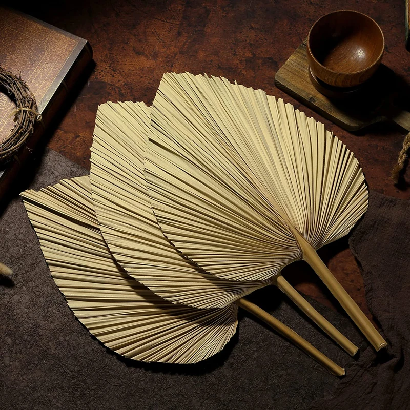 

3Pcs Dried Natural Flowers Palm Leaves Room Decor Large Natural Palm Leaf for Boho Wedding Party Decoration Arc Decor