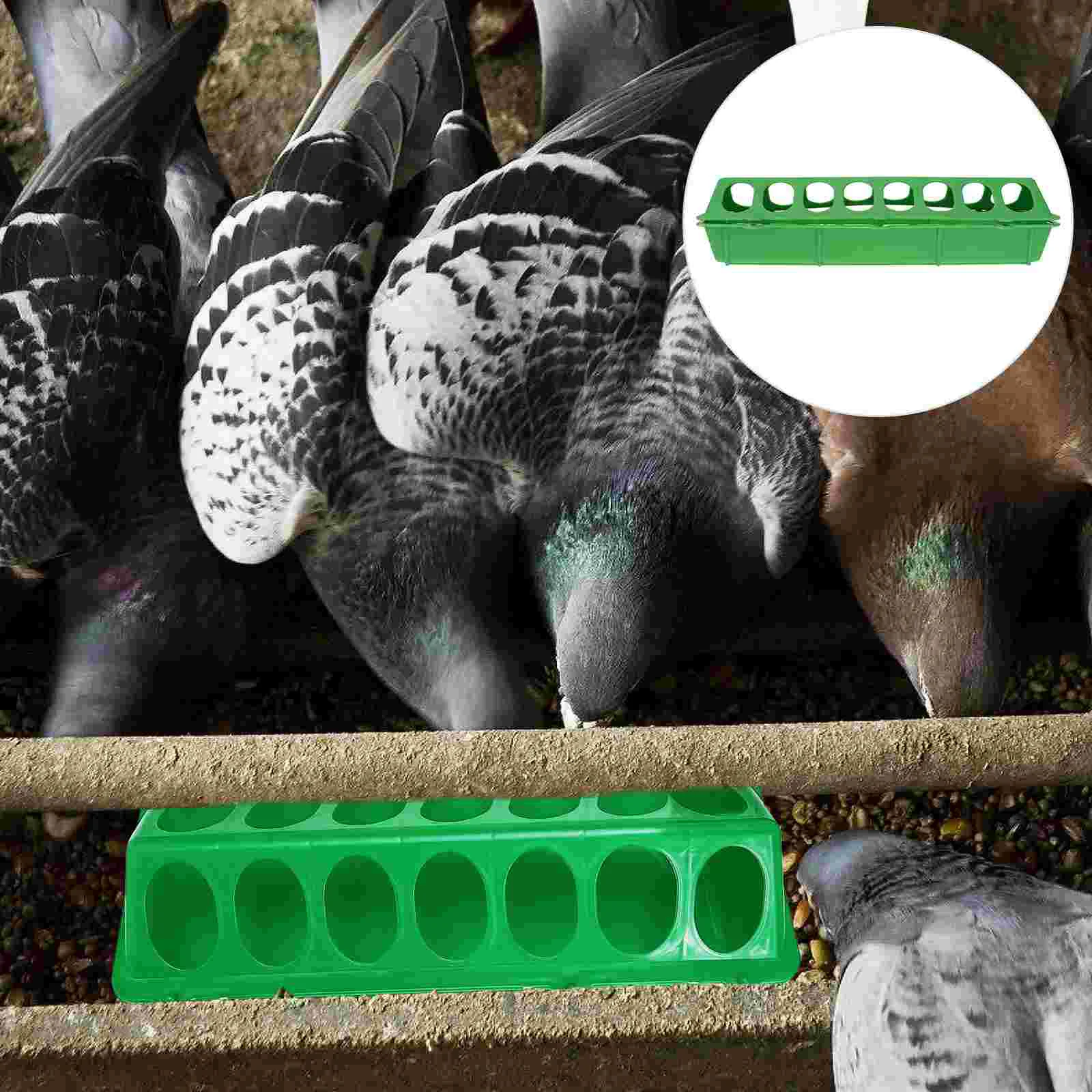 

Feeder Poultry Bird Feedingpigeon Chicken Trough Dispenser Dish Bowl Slot Feeders Chick Duck Container Water Parrot Drinkerbirds