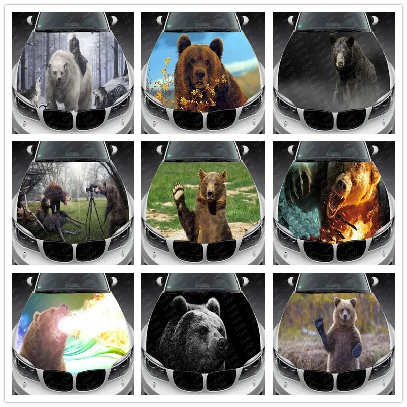 Абстрактные забавные медведи животные Иташа капюшон виниловые наклейки