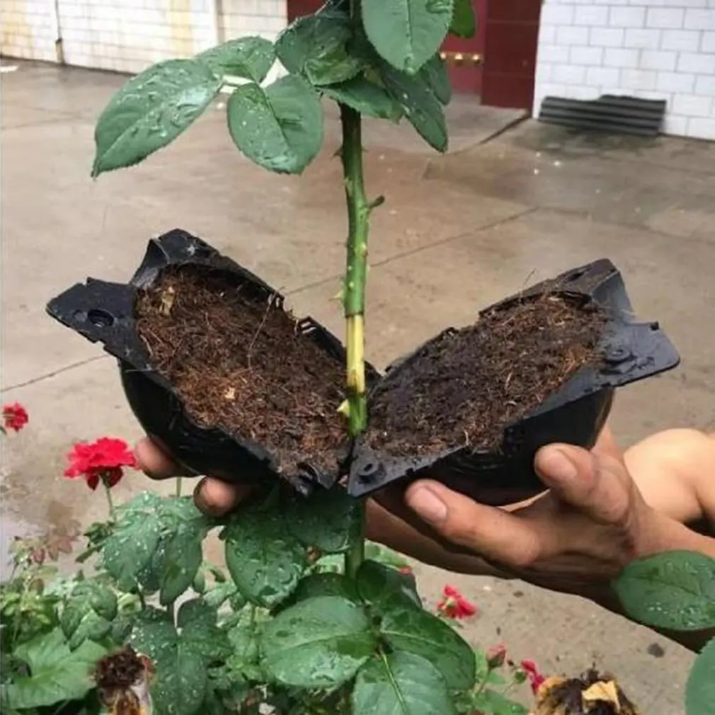 

S/M/L Plant Rooting Ball Grafting Rooting Growing Box Breeding Case High Pressure Propagation Plant Root Equipment Nursery Box