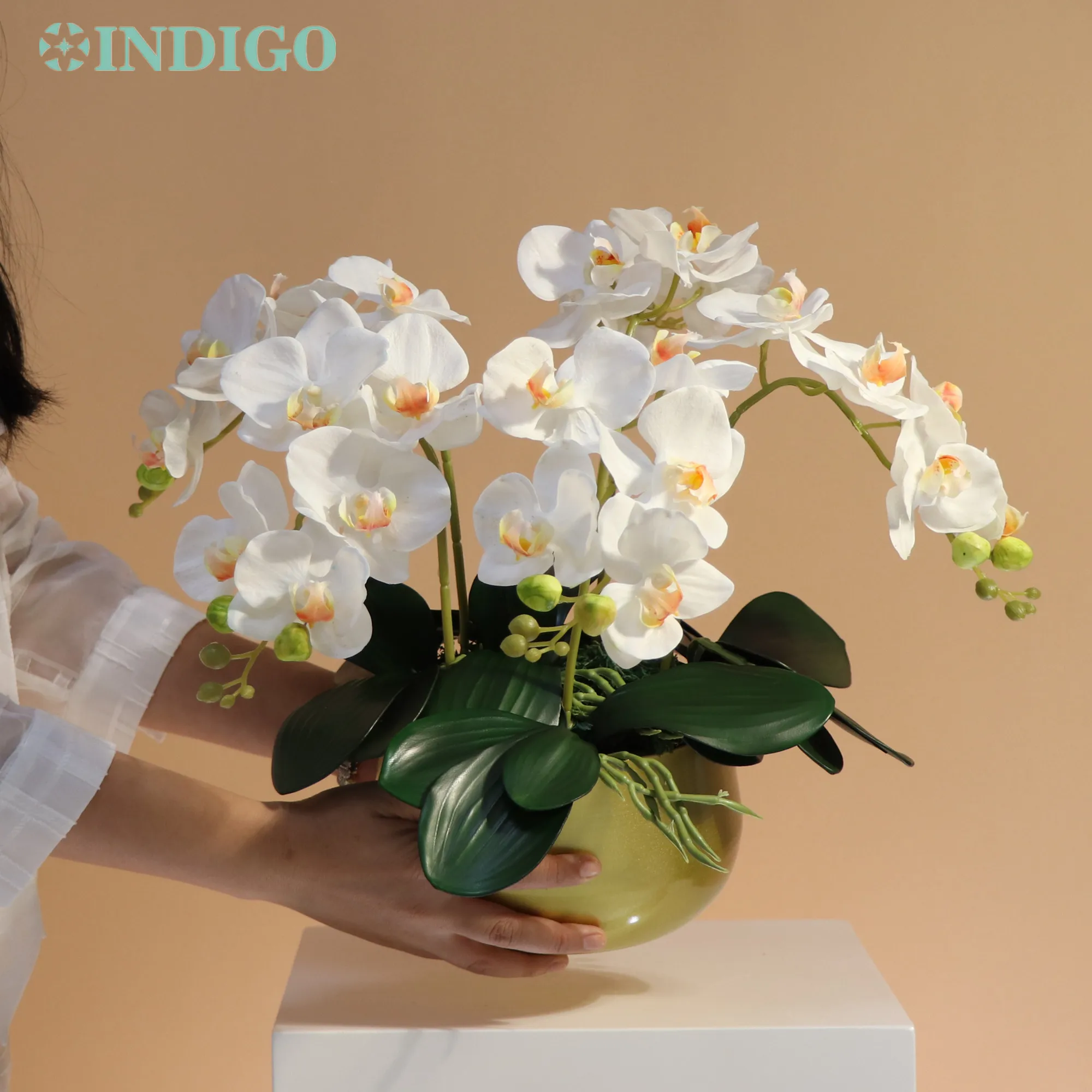 

Moth Orchid DIY Flower Arrangment (5PCS Orchid+5PCS Leaf+ Moss +Vase) Phalaenopsis Christmas Decoration Centerpiece - INDIGO