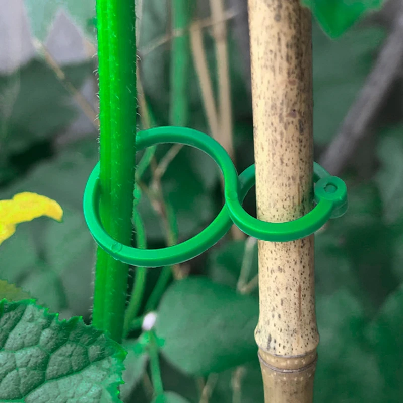 

50 Pcs/Set Plant Clips Garter Plants Tomato Clip Reusable Garden Plant Support Rill Greenhouse Plant Seeding Vines Clamp