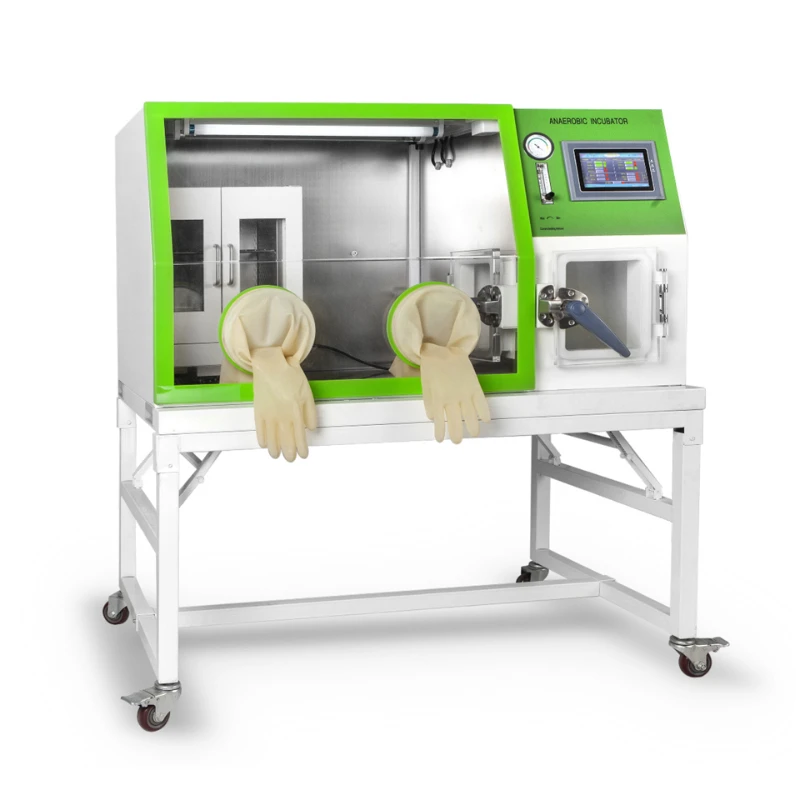 

High Quality Lab Use Thermostatic Incubator Machine