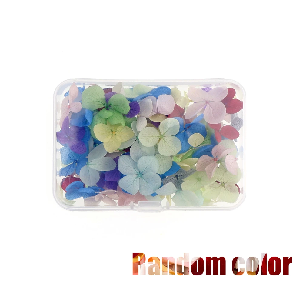 

Bulk Lot 100Pcs Mixed Dried Flowers 3D Nail Art Tool DIY Nails Decoration Tips