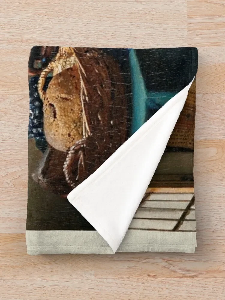 Одеяло Milkmaid (ca. 1660) Йоханнеса Вермеера туристическое декоративное покрывало для