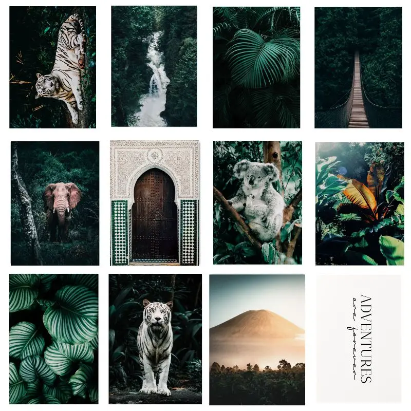 Зеленые джунгли тропические фотообои и принты Природный Пейзаж Плакат Белый