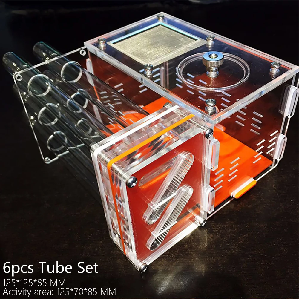 

DIY Acrylic Ant Farm with Feeding Area Ants House Workshop 5 Plaster Tubes Ant Nest Insect Gypsum Test Tube Nest Pet Anthill