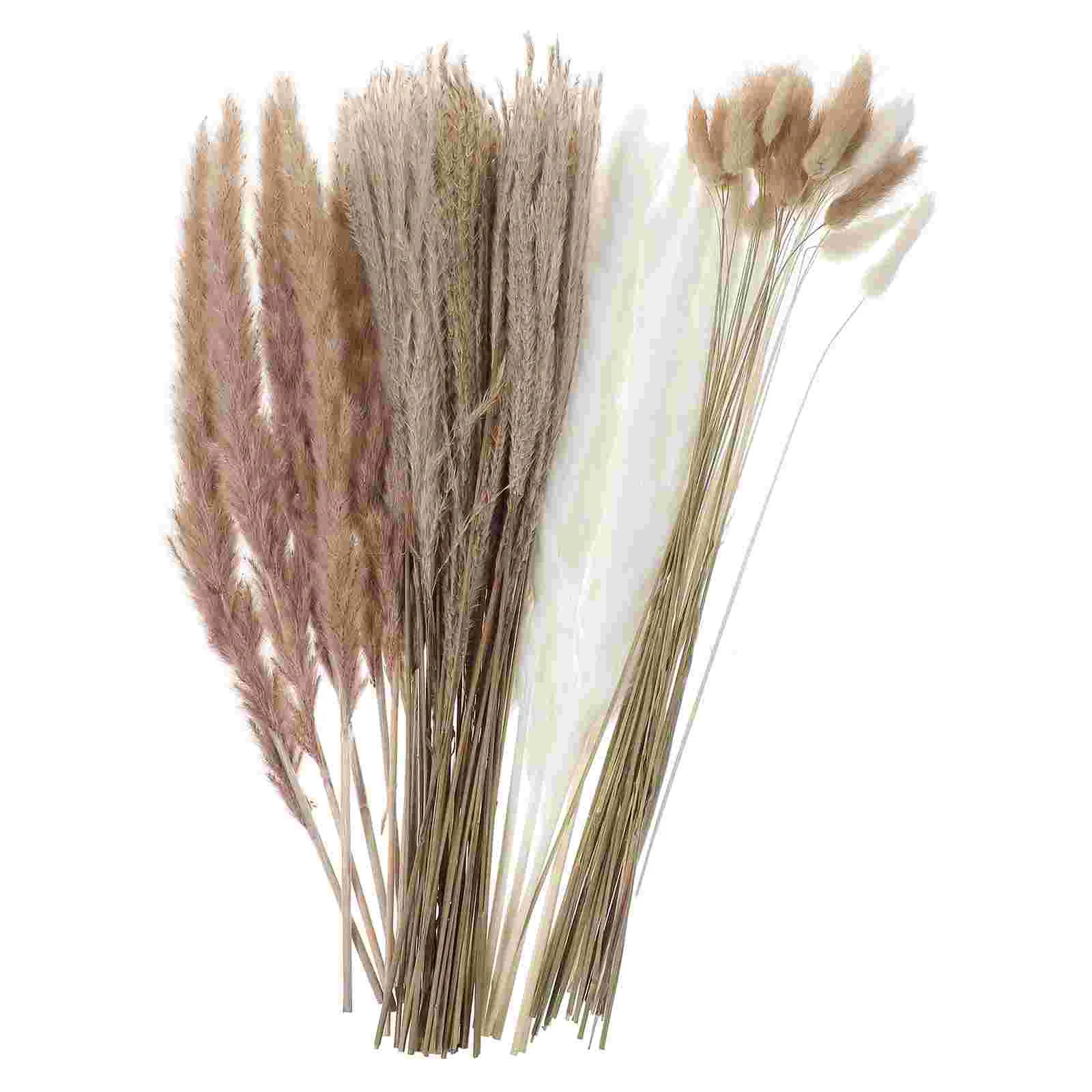 

80pcs Preserved Reed Eternal Reed Layout Props Dried Reed Bouquets Decorations Decorative Natural Plants Dried Plants Ornaments