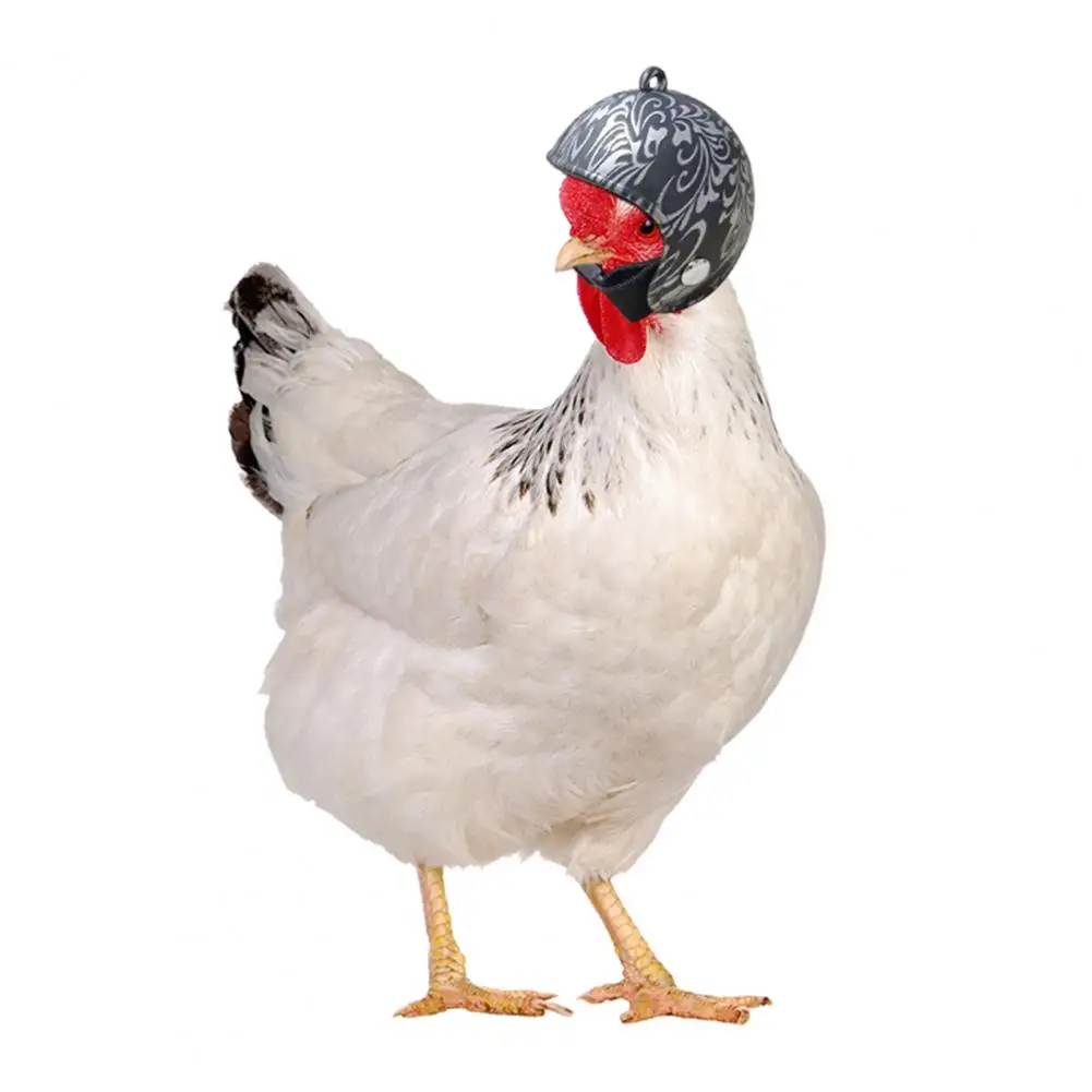 

Шлем с курицей Регулируемый шлем с курицей Безопасный Удобный головной убор для маленьких птиц милые товары для домашних животных для защиты украшения