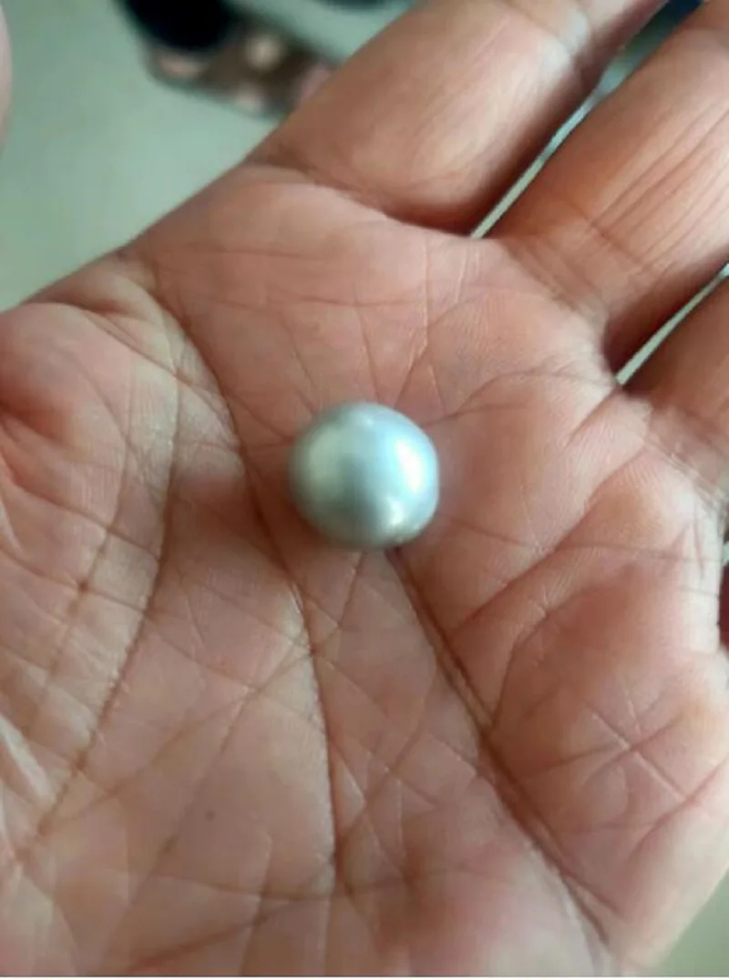 

Giant 12x10 MM Natural South China Sea Grey Loose Pearl Half Diamond