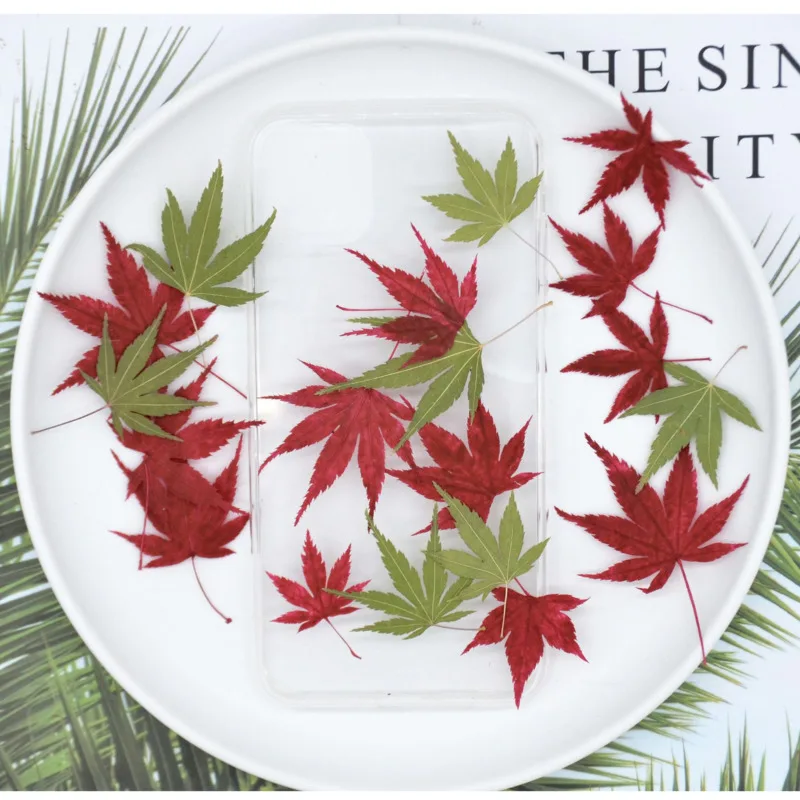 Узор в виде кленового листа образца детская обучения DIY ручной фоторамка