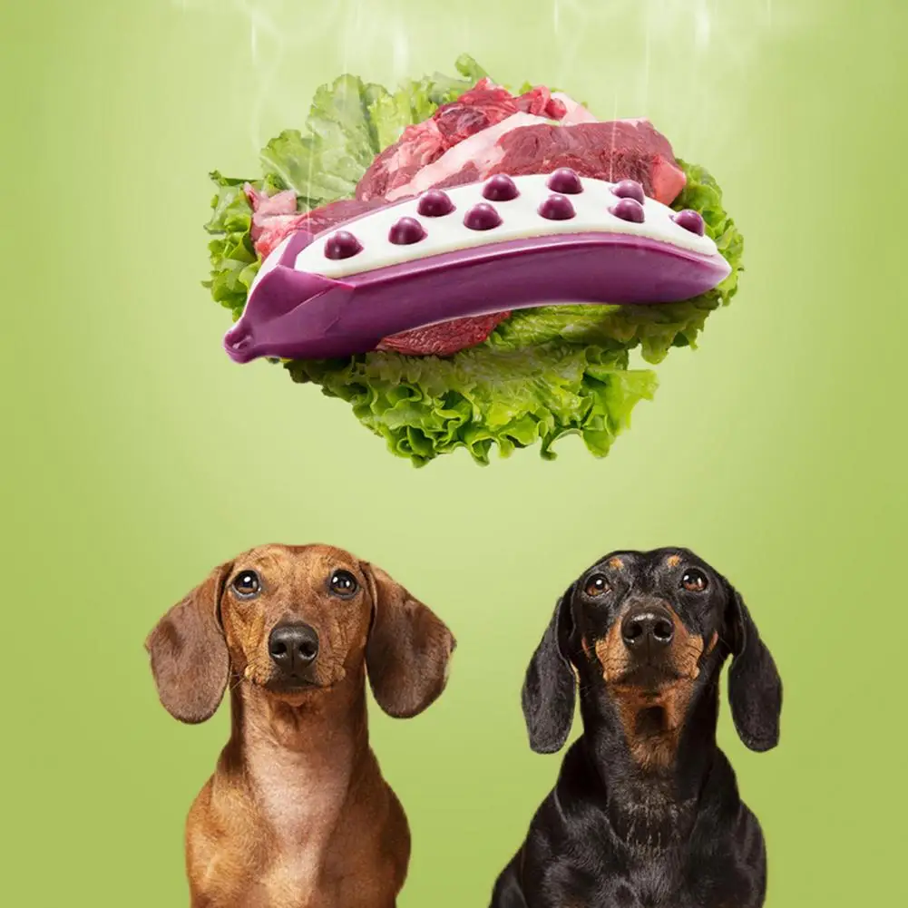 

Durable Dog Bite Toy Raised Surface Portable Eggplant Shape Dog Bite Toy Dog Chew Toy Pet Toy