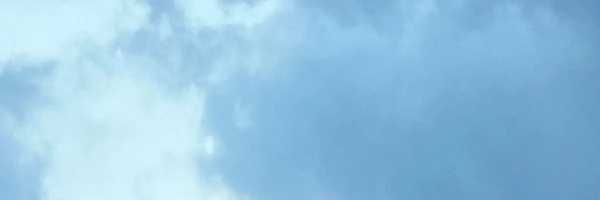 

99
