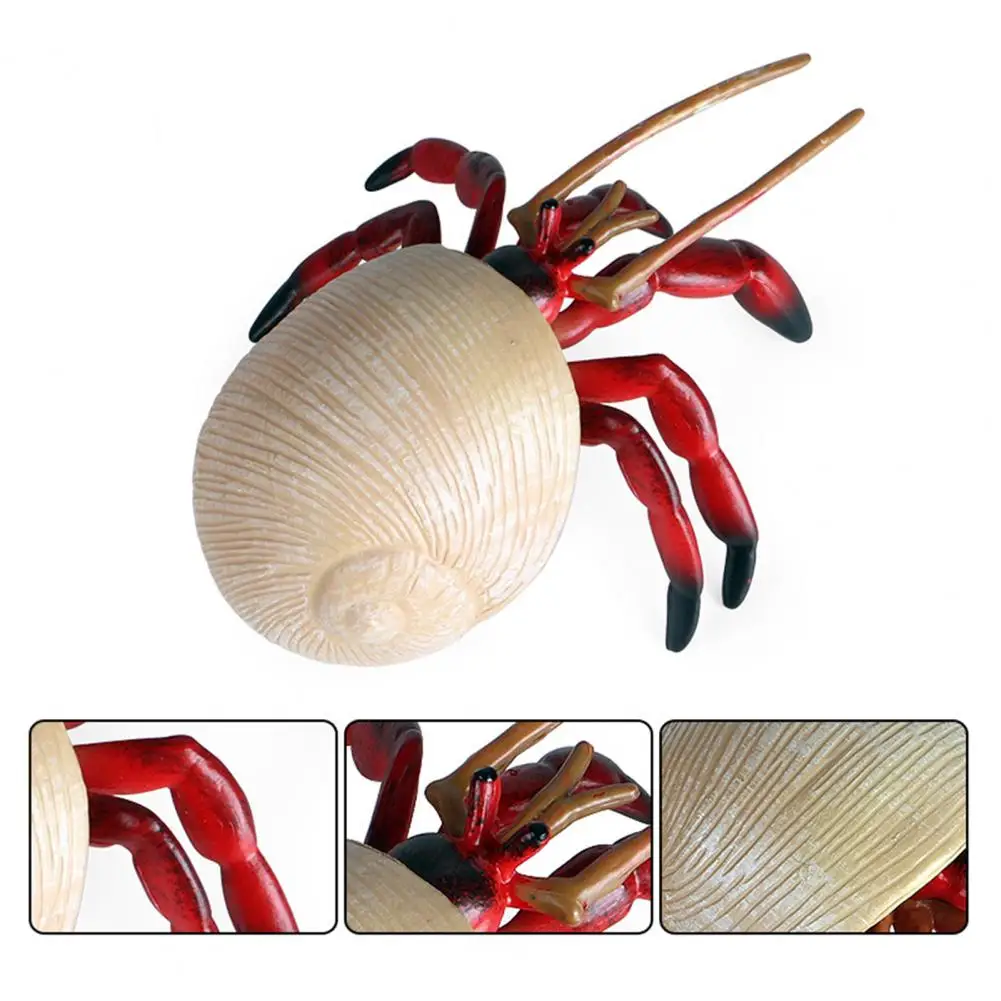 Полезная имитация морских животных модель микро-Декор экологически чистые |