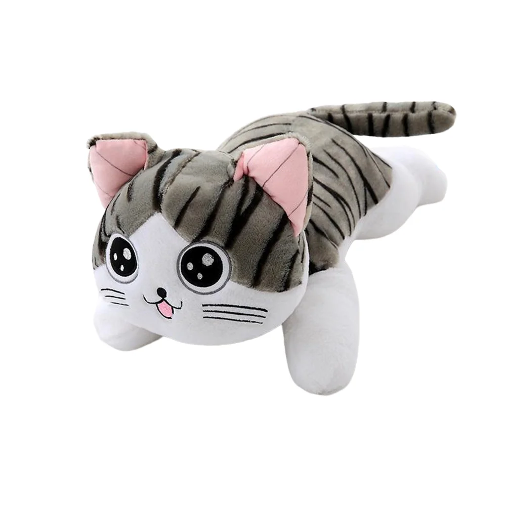 Cat styled