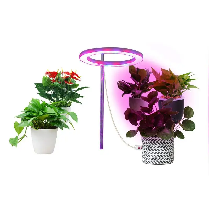 

Ring LED Plant Grow Light Plant Growth Lamp Indoor Potted Plants Led Growing Lamp Succulent Desktop Hydroponics Led Growing