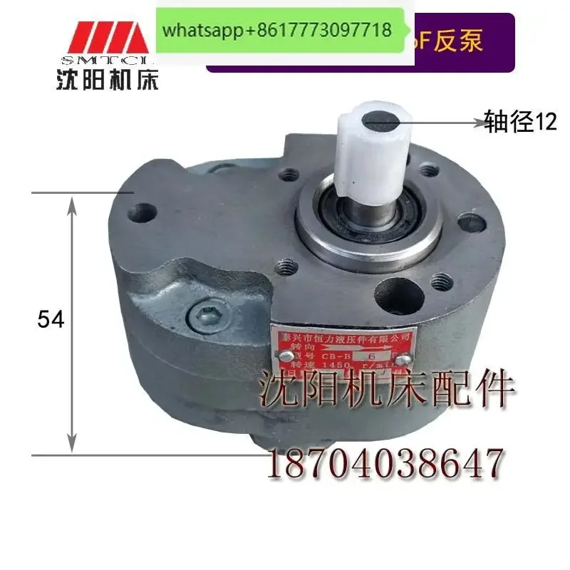 Shenyang Dalian CW6163CW6180 токарное опорное масло CB-B6 шестеренчатое шестеренный насос